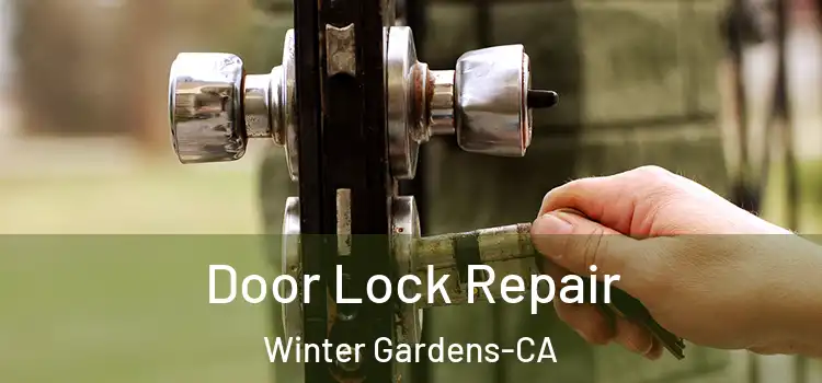  Door Lock Repair Winter Gardens-CA