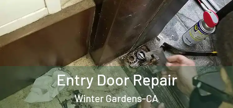  Entry Door Repair Winter Gardens-CA