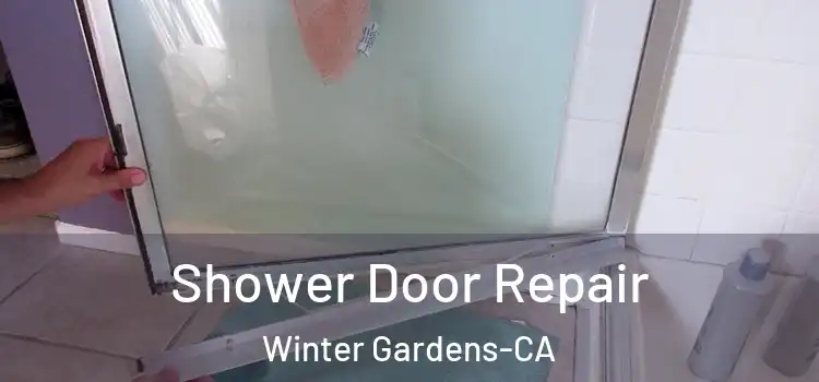  Shower Door Repair Winter Gardens-CA