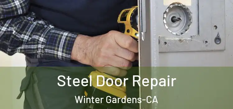  Steel Door Repair Winter Gardens-CA