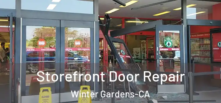  Storefront Door Repair Winter Gardens-CA